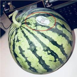 网红今日吃瓜,揭秘娱乐圈最新热点事件  第3张